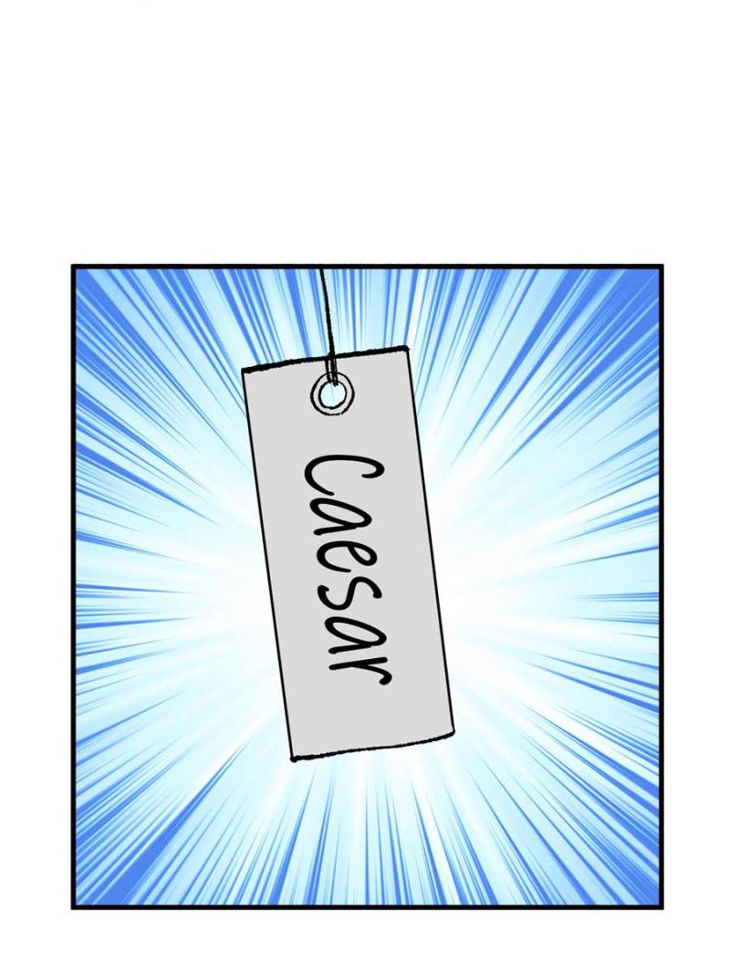 Page 43 of Chapter 13