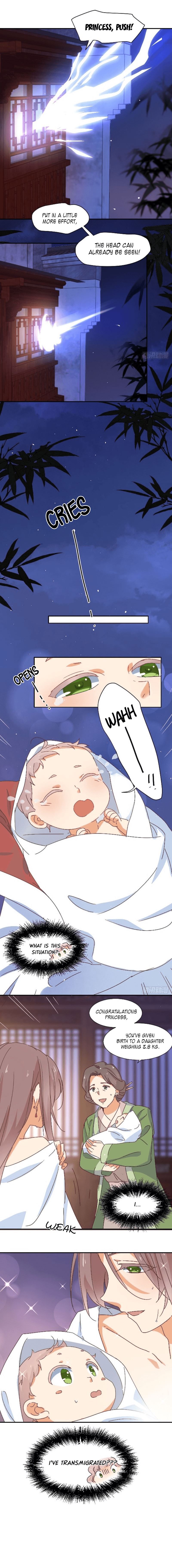 Page 8 of Chapter 1