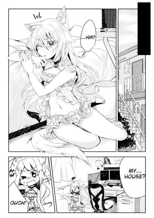 Page 21 of Chapter 1