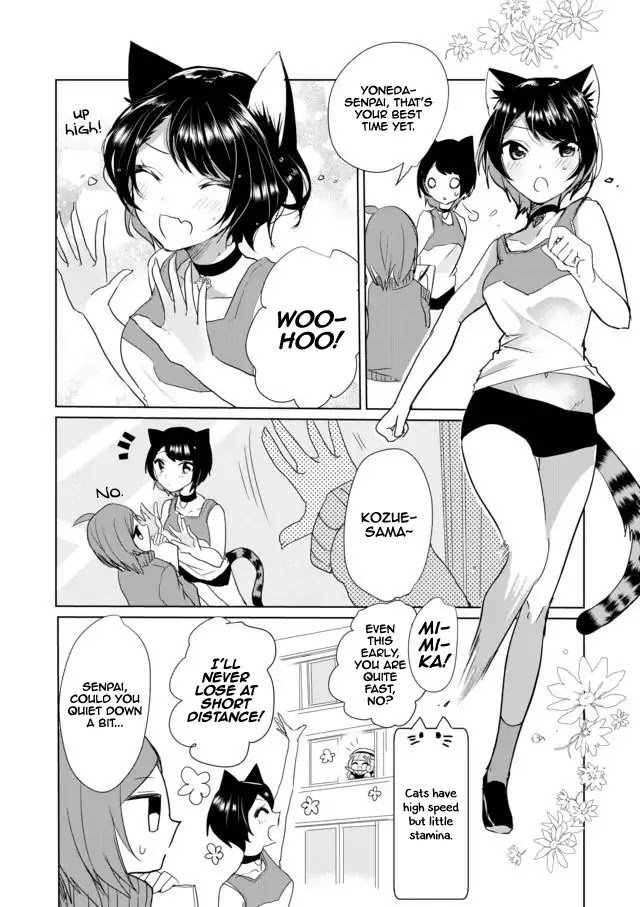 Page 4 of Chapter 17