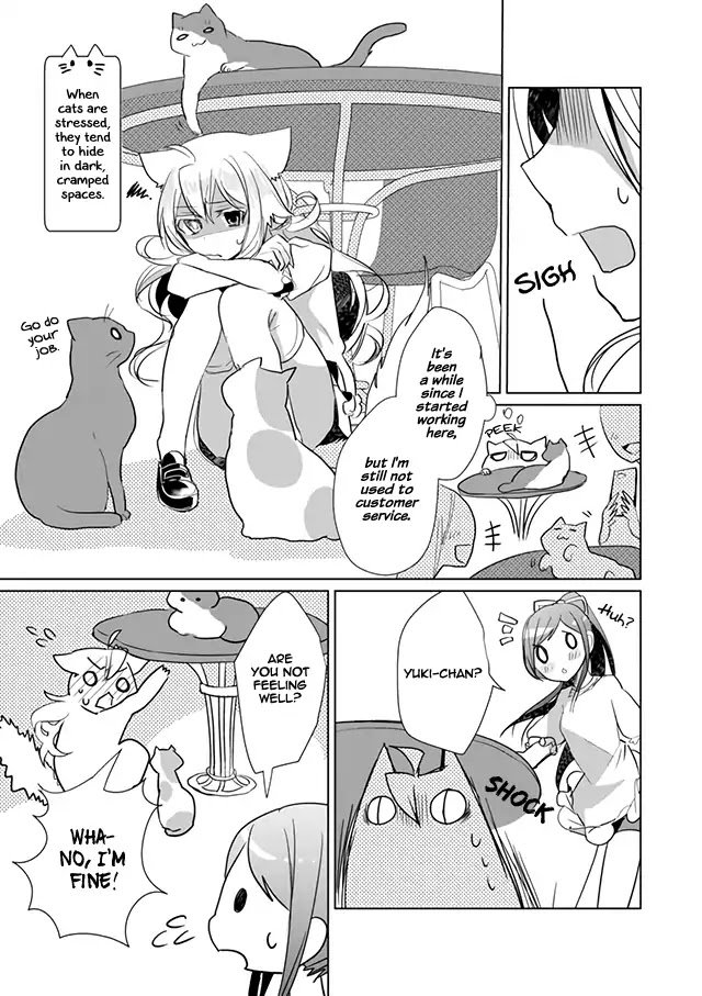 Page 3 of Chapter 19