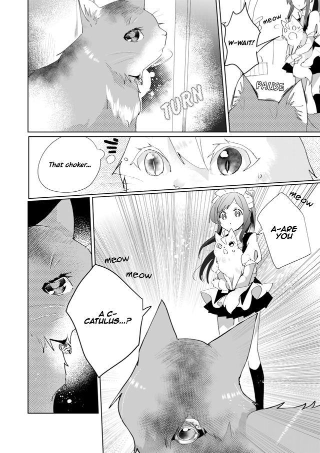 Page 12 of Chapter 33