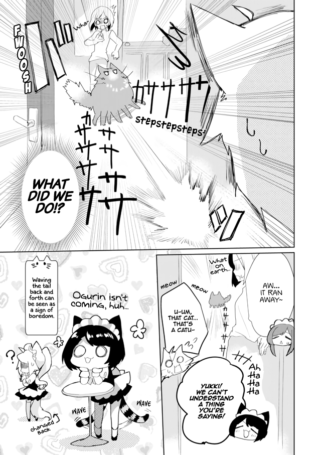 Page 13 of Chapter 33