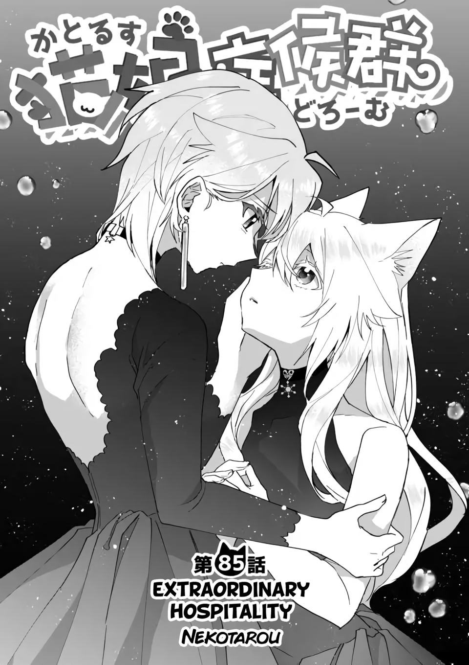 Page 2 of Chapter 85
