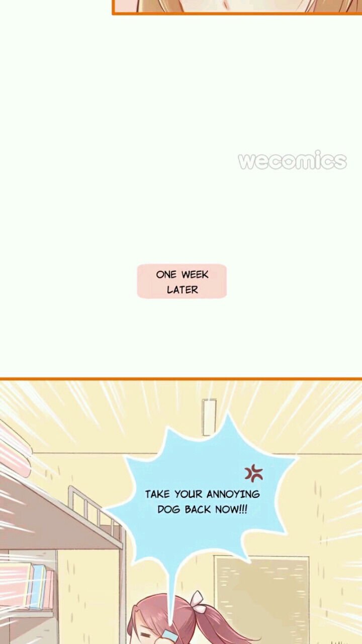 Page 14 of Chapter 20