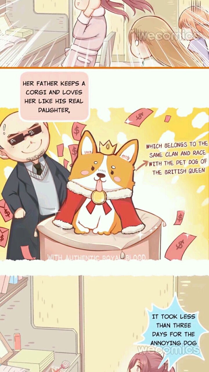Page 15 of Chapter 20
