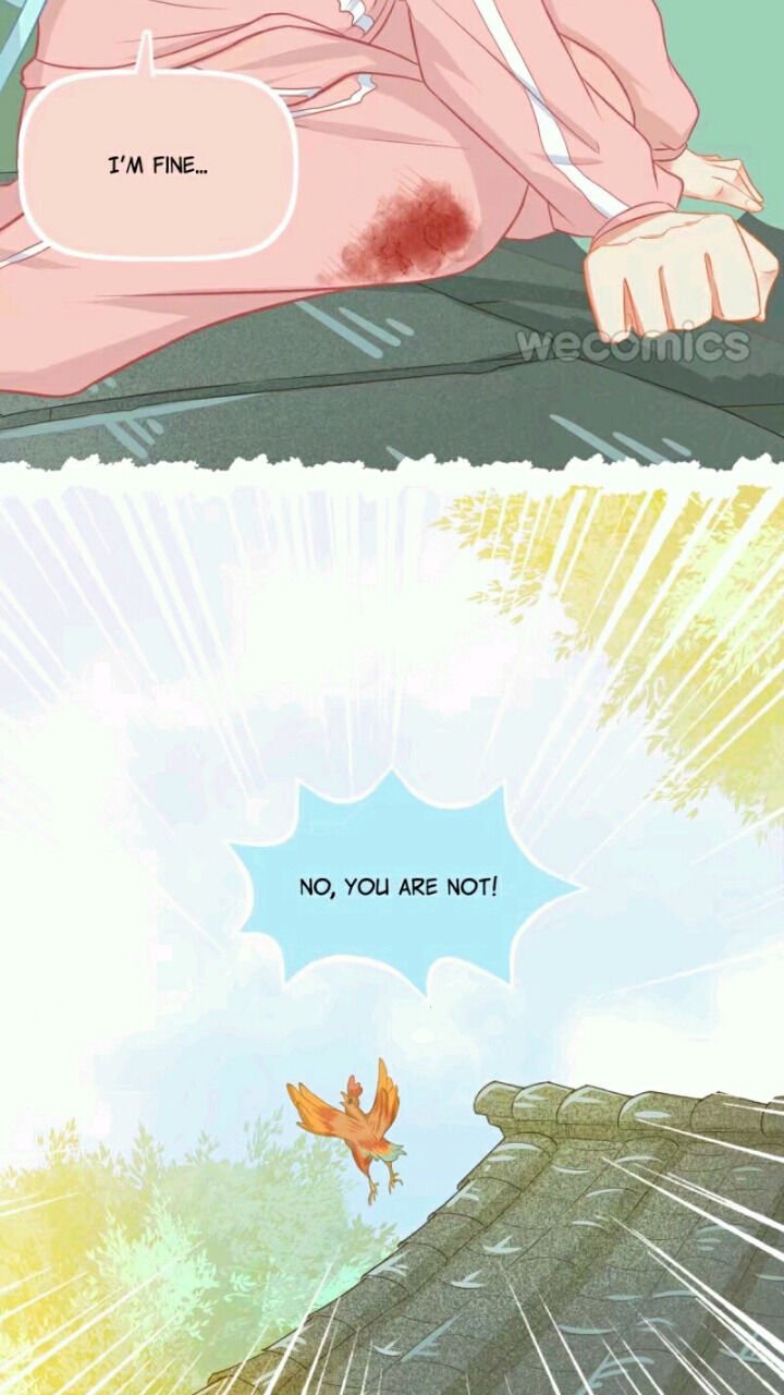 Page 19 of Chapter 36