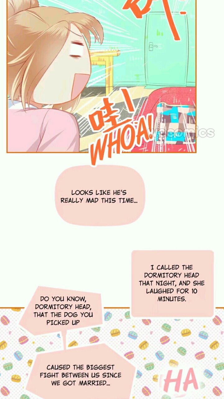 Page 21 of Chapter 38