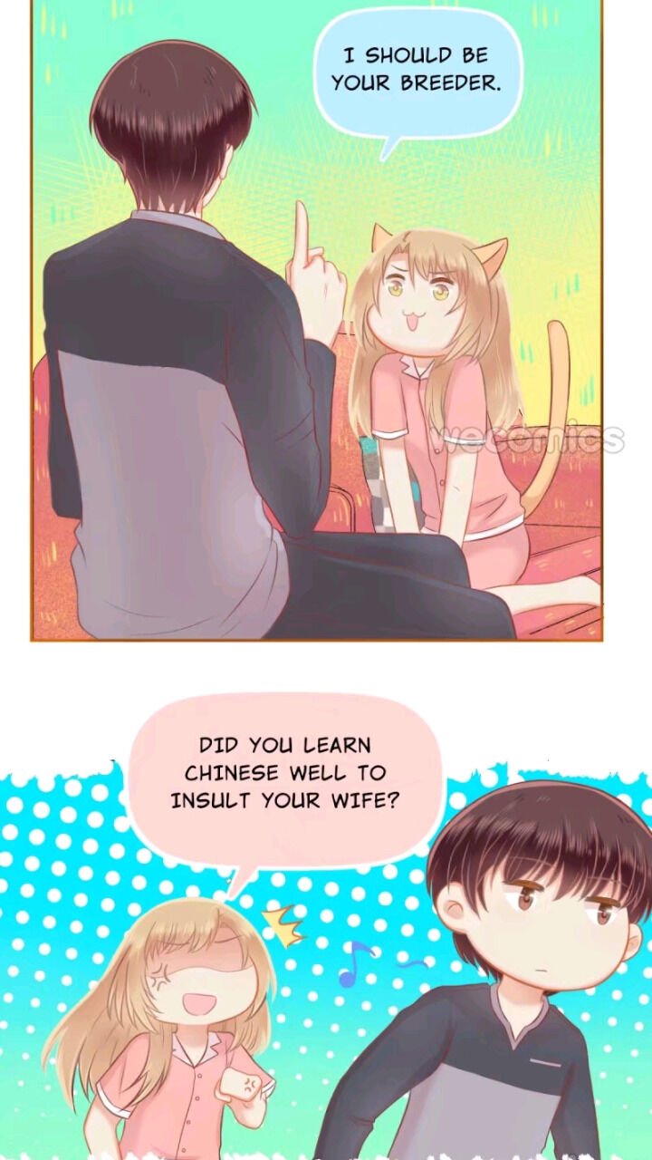 Page 13 of Chapter 42