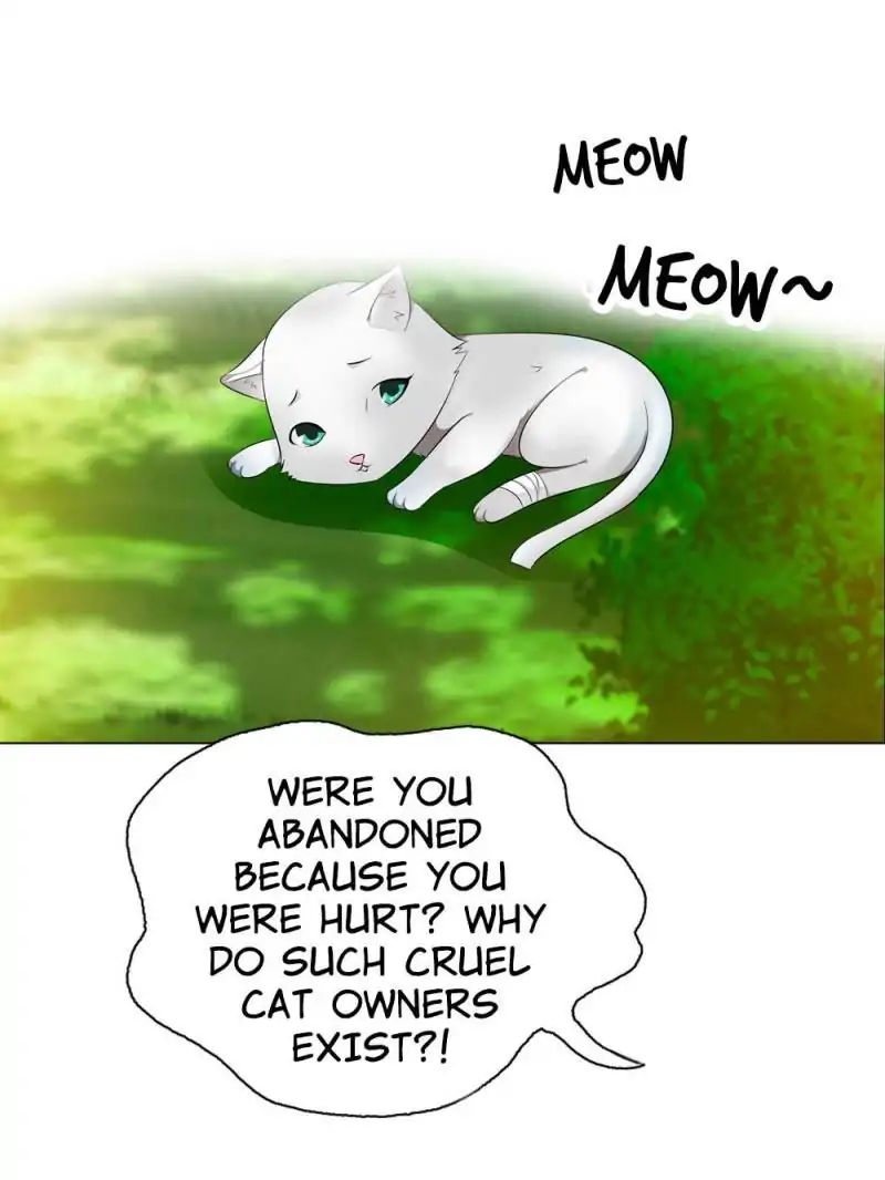 Page 5 of Chapter 13