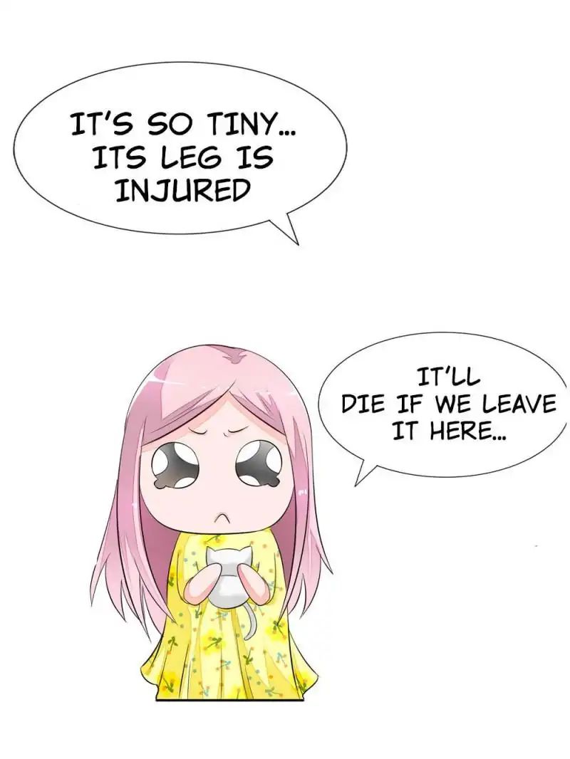 Page 8 of Chapter 13