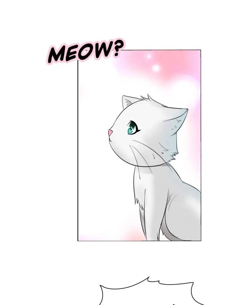 Page 14 of Chapter 13