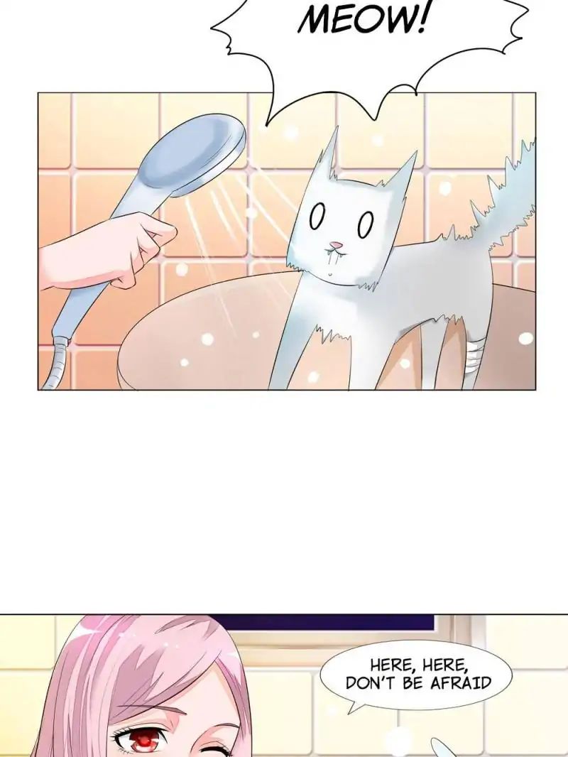 Page 15 of Chapter 13