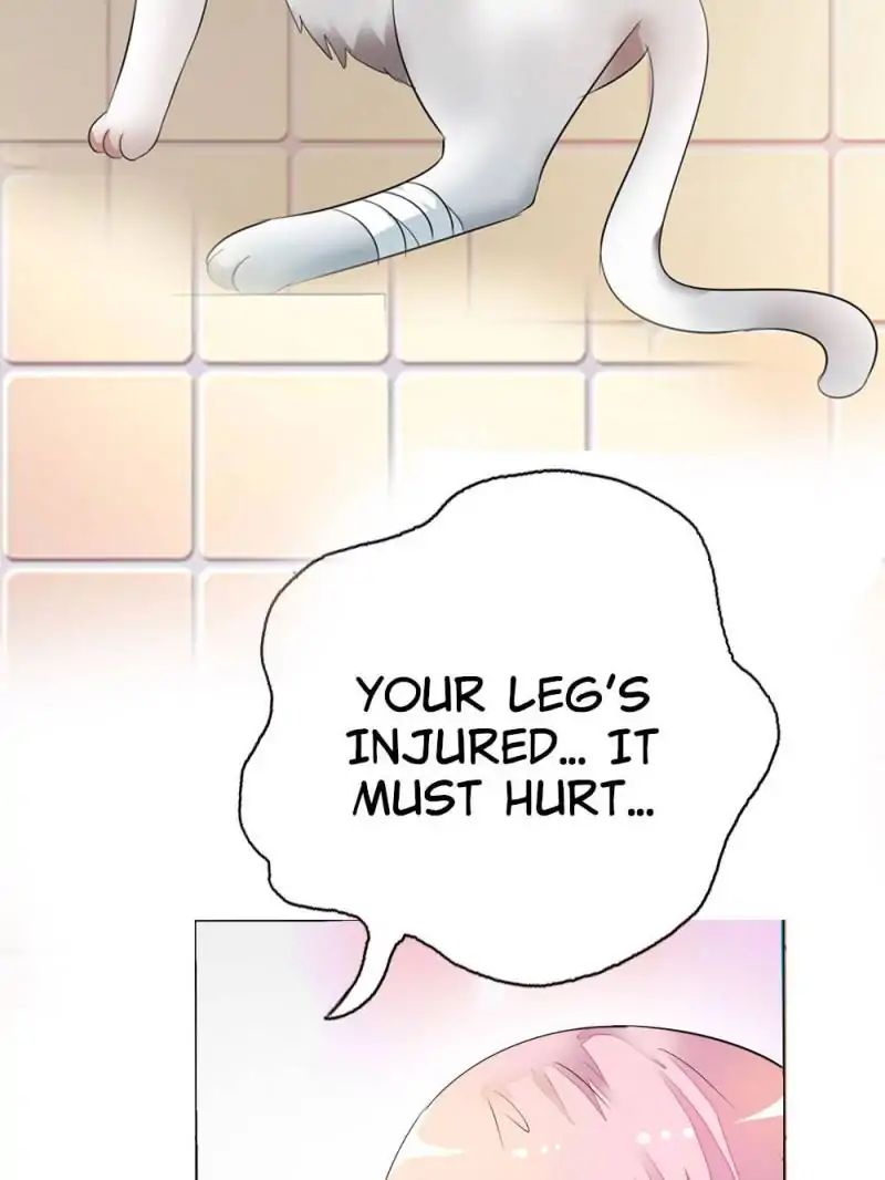 Page 19 of Chapter 13