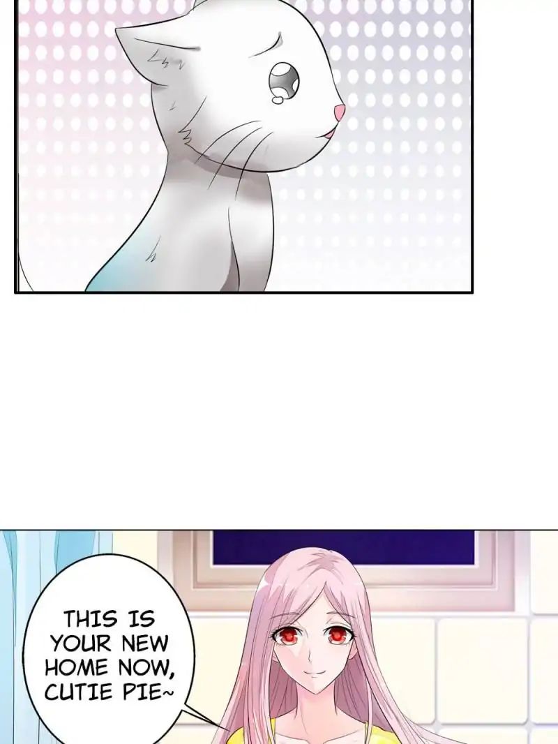 Page 21 of Chapter 13