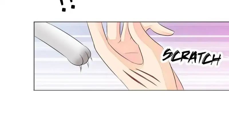 Page 27 of Chapter 13