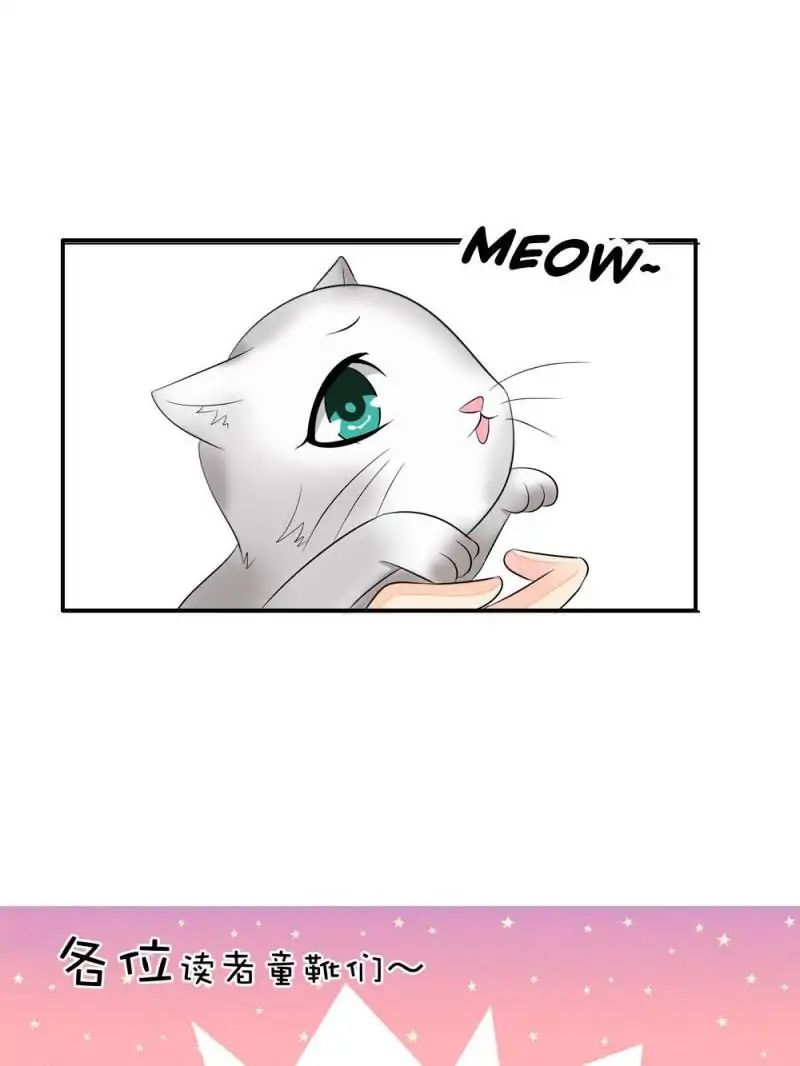 Page 29 of Chapter 13