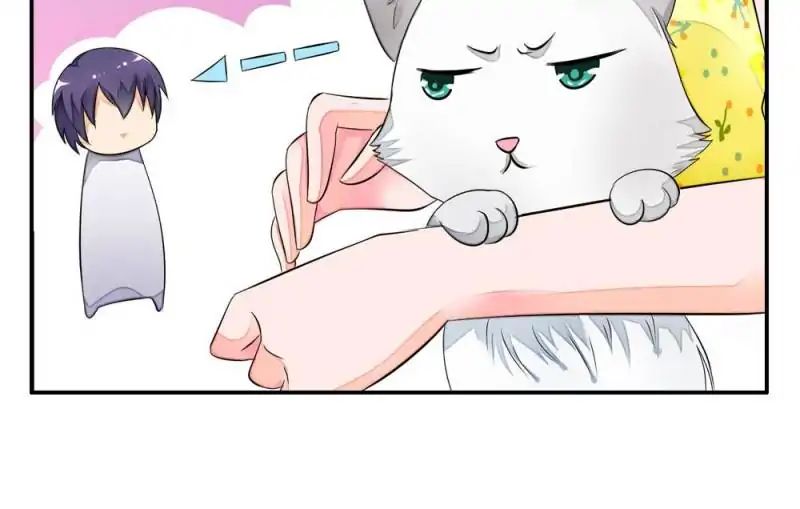 Page 5 of Chapter 14