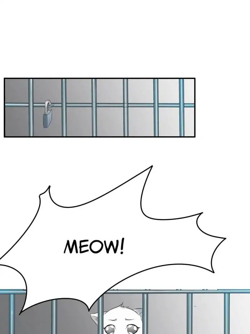 Page 6 of Chapter 14