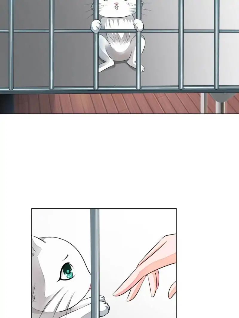Page 7 of Chapter 14