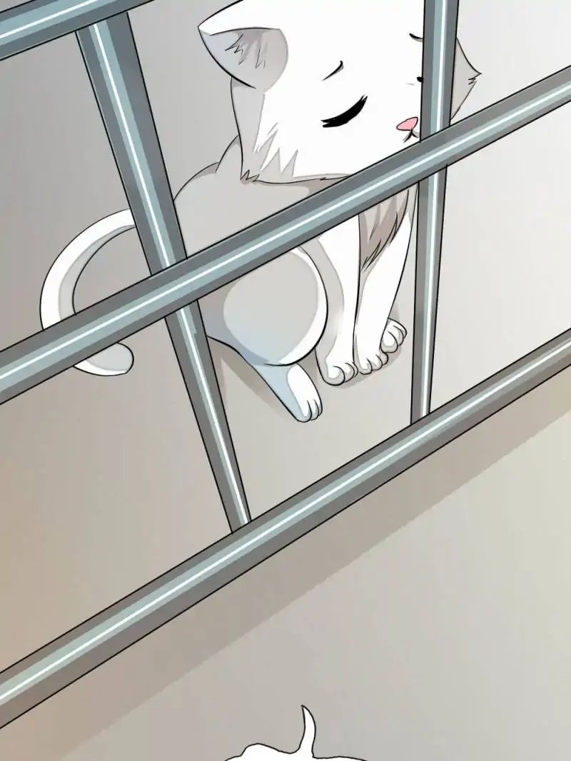 Page 16 of Chapter 14
