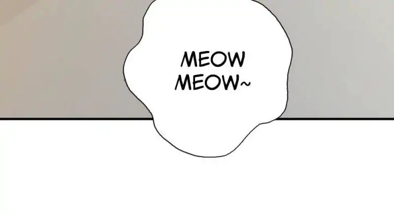 Page 17 of Chapter 14