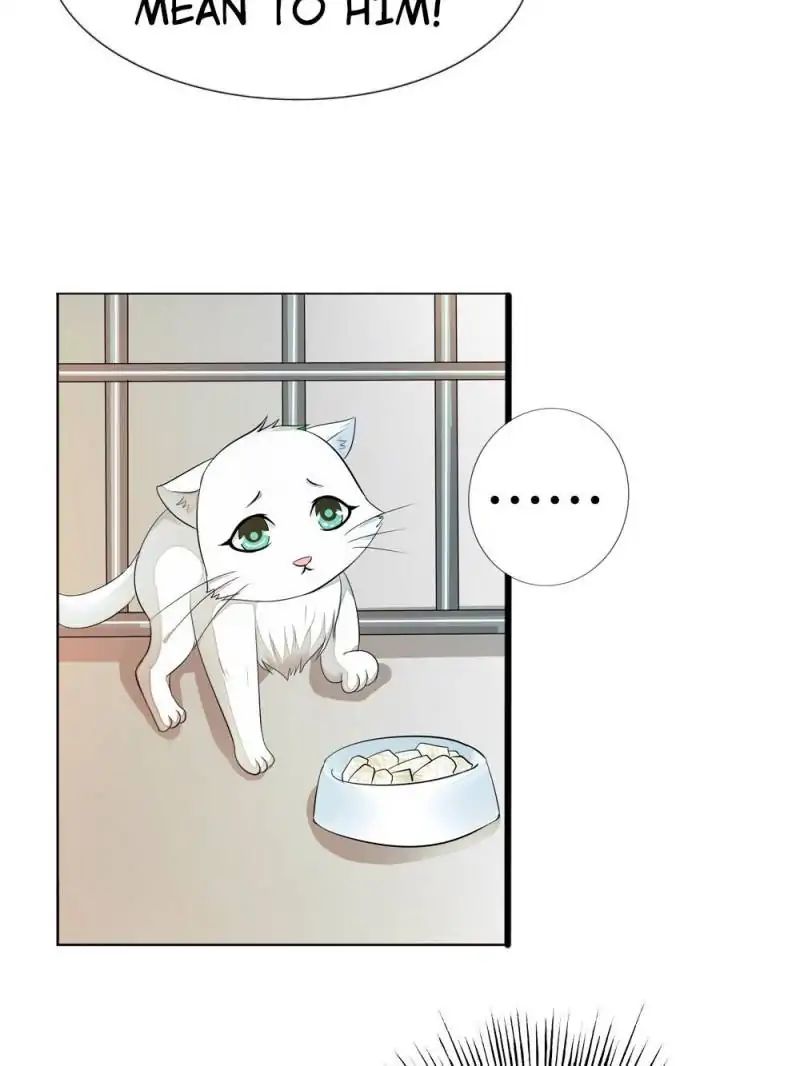 Page 20 of Chapter 14