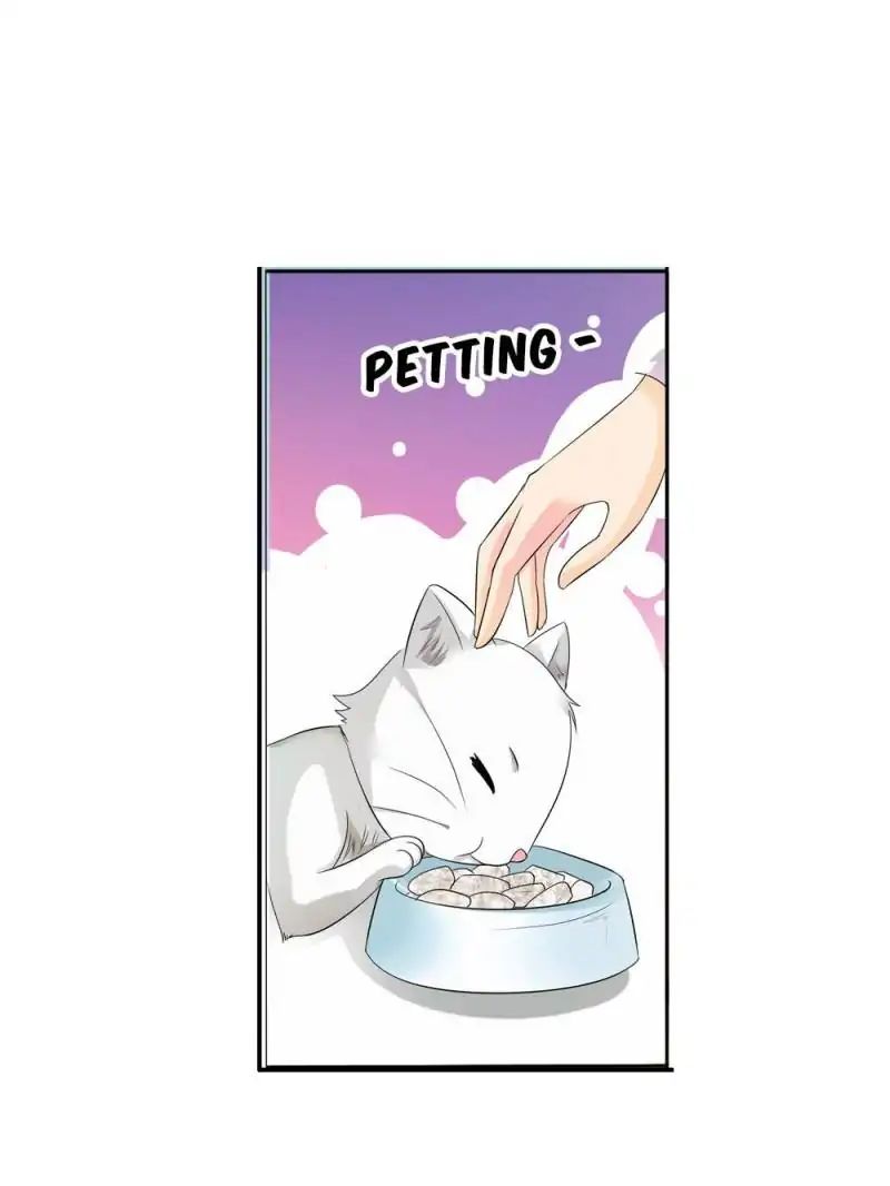 Page 23 of Chapter 14