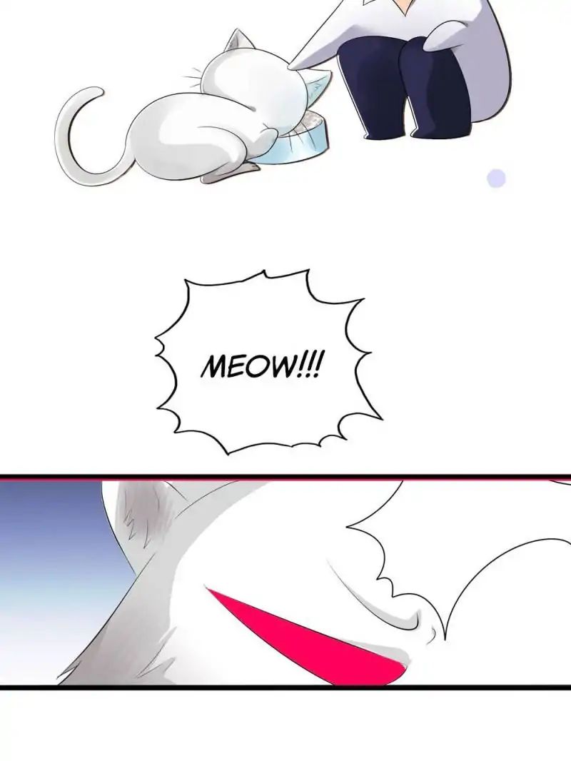 Page 25 of Chapter 14