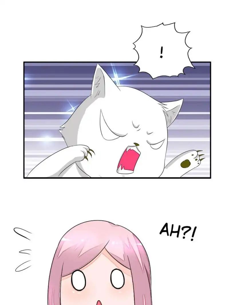 Page 27 of Chapter 14