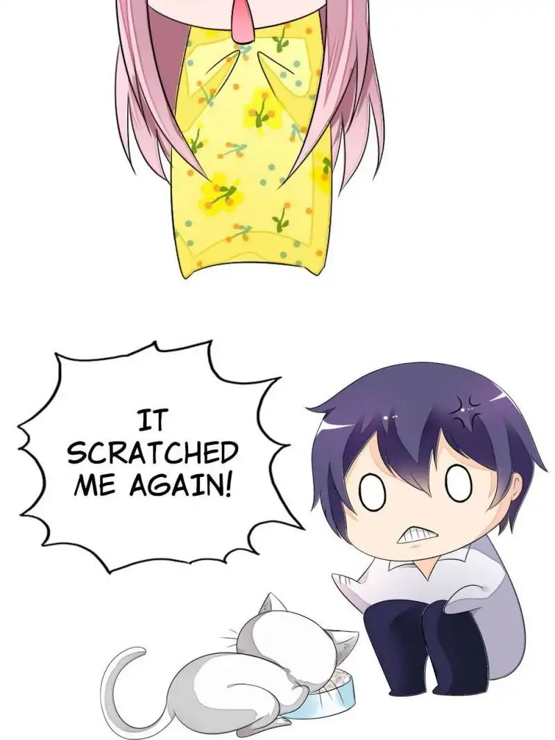 Page 28 of Chapter 14
