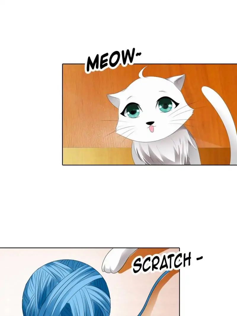 Page 13 of Chapter 44