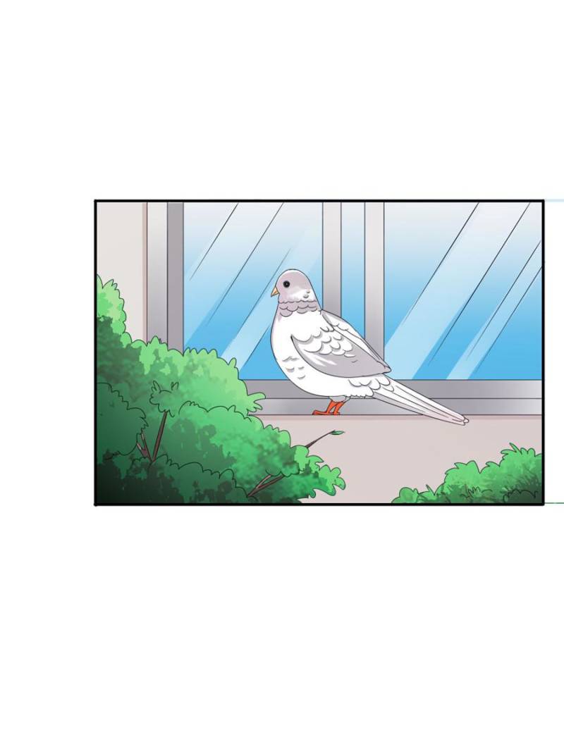 Page 29 of Chapter 99