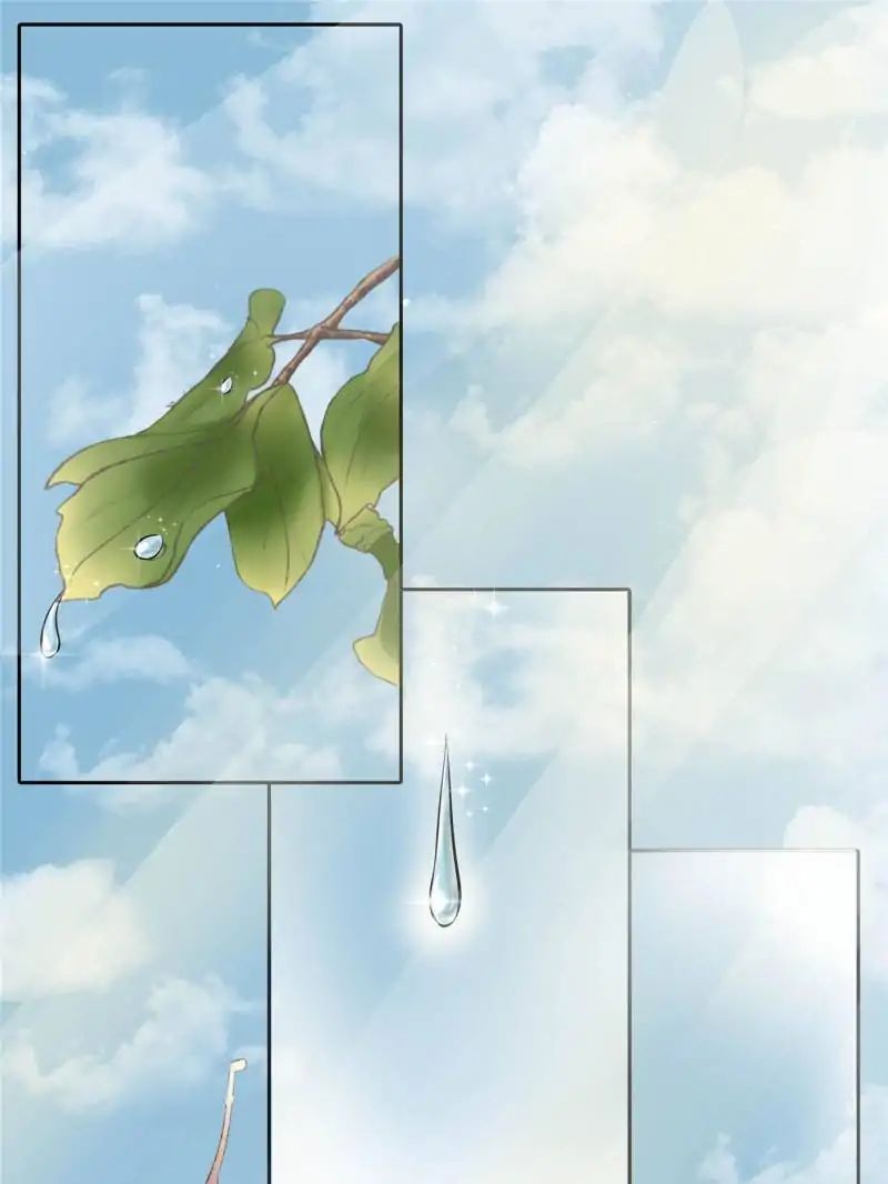 Page 25 of Chapter 29