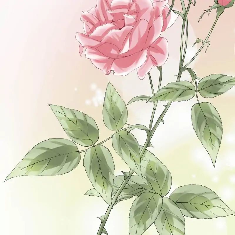Page 21 of Chapter 38