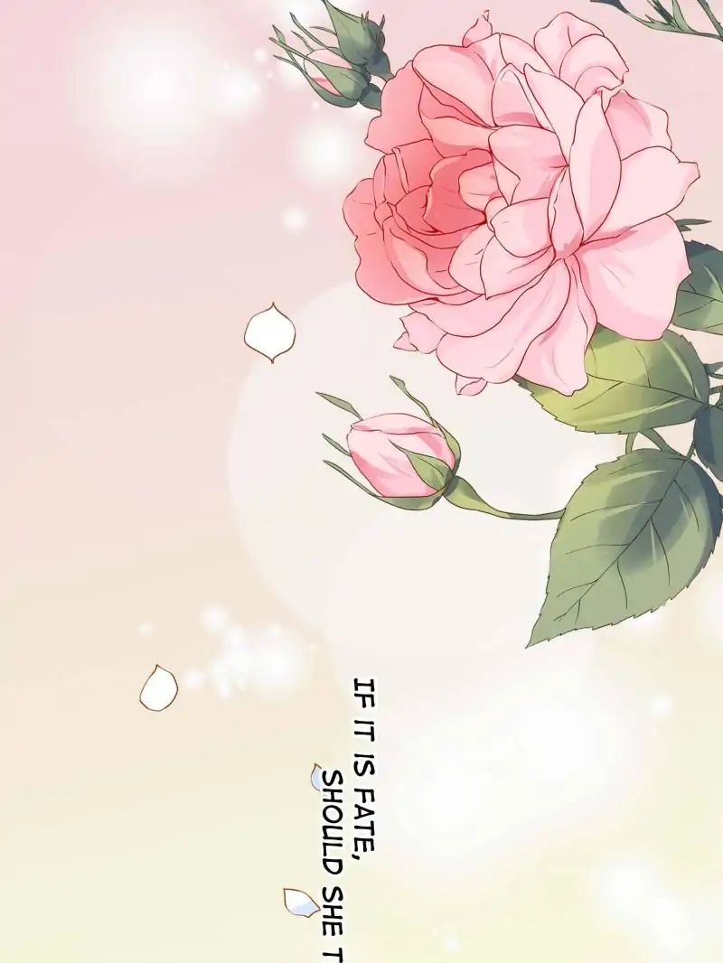 Page 36 of Chapter 40