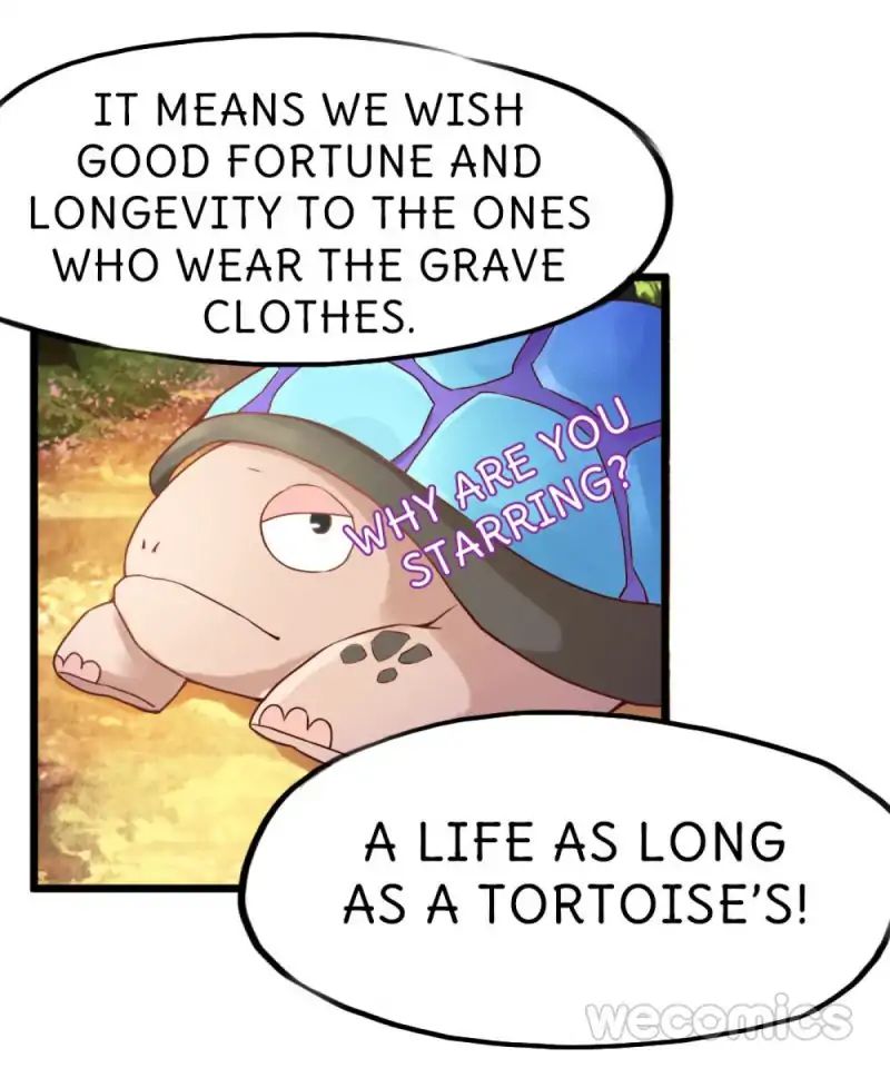 Page 30 of Chapter 11