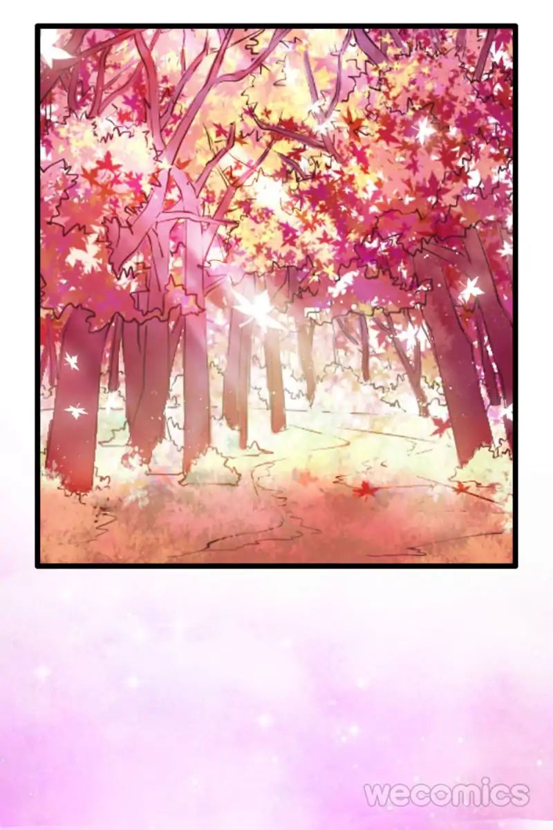 Page 19 of Chapter 12