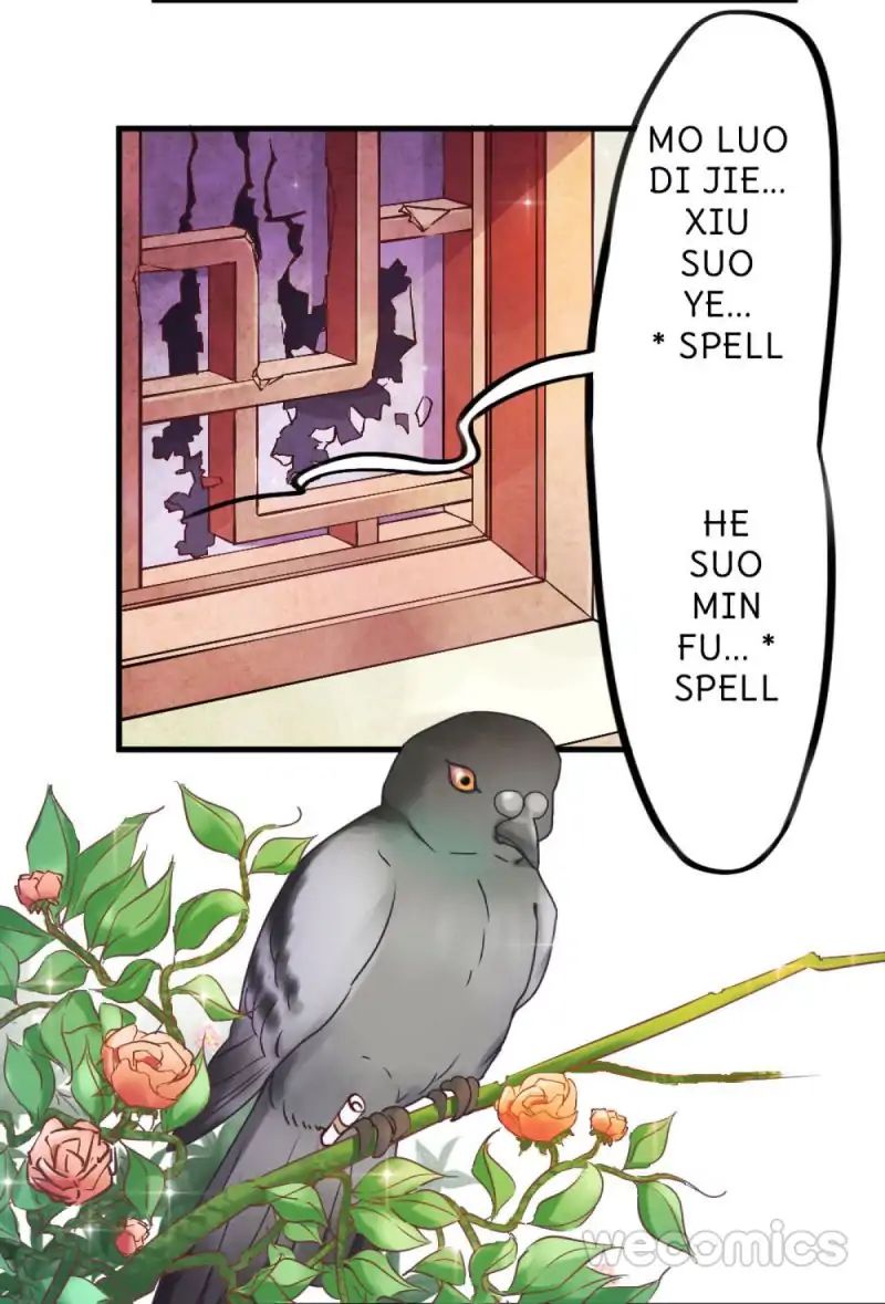 Page 3 of Chapter 13