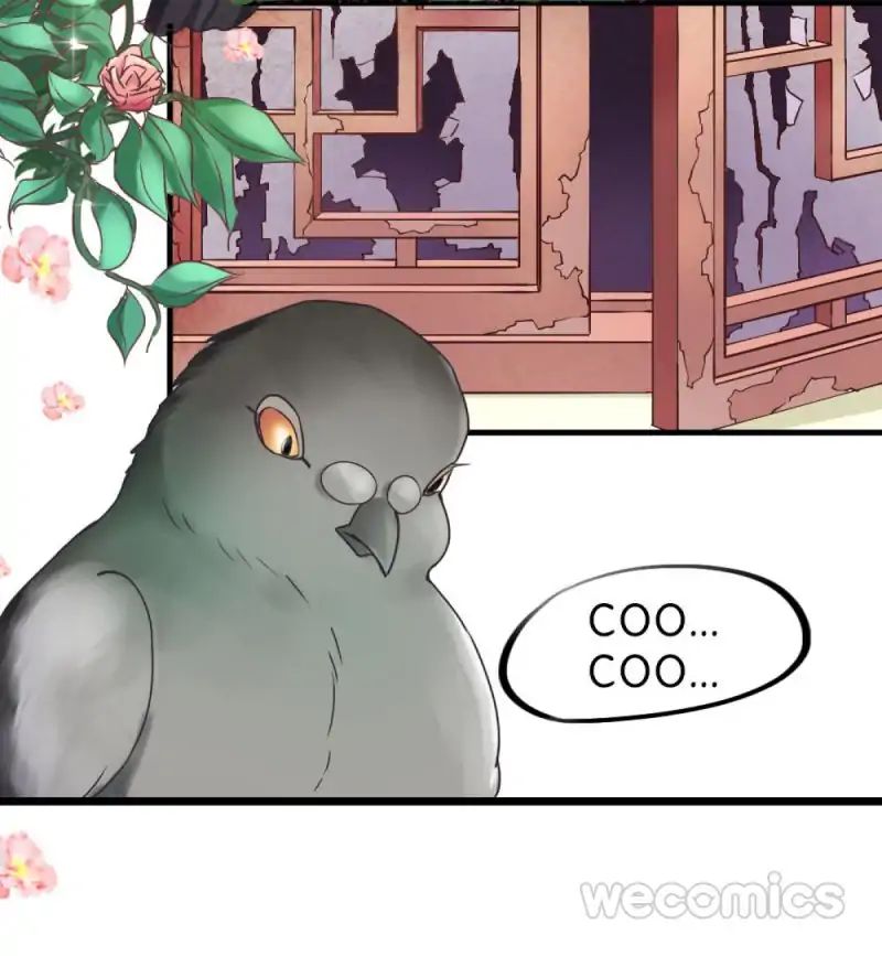 Page 4 of Chapter 13