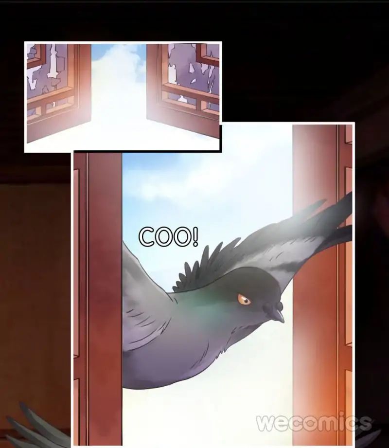 Page 13 of Chapter 13
