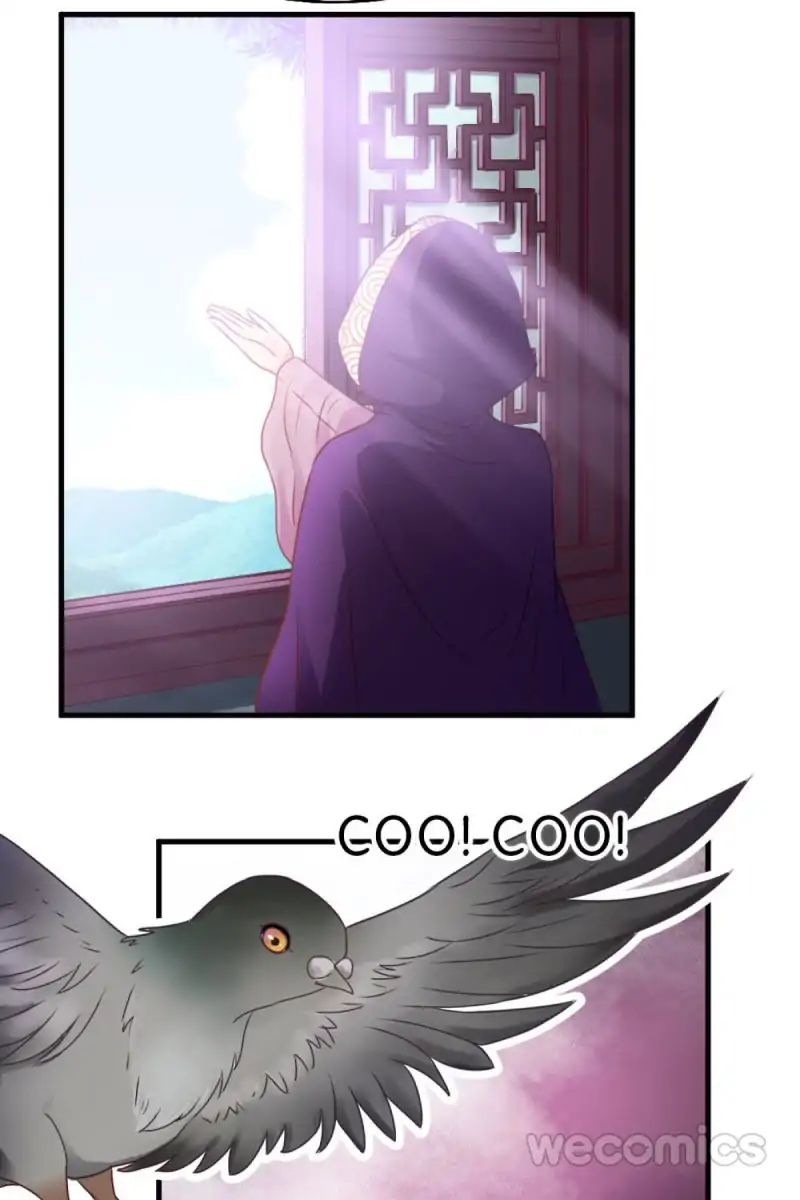 Page 27 of Chapter 16