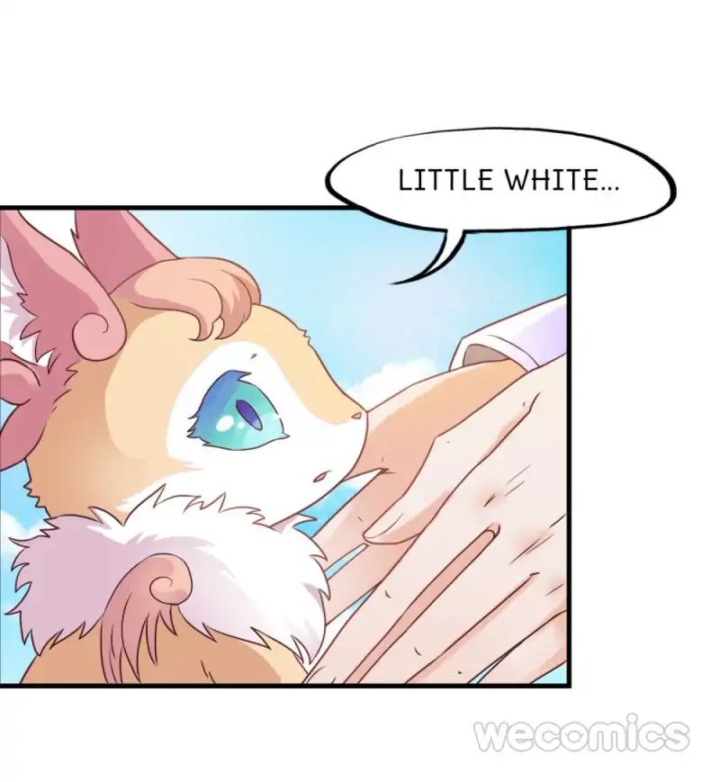 Page 1 of Chapter 17