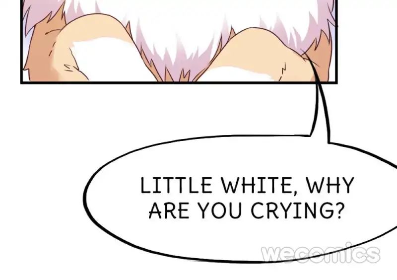 Page 7 of Chapter 17