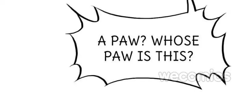 Page 11 of Chapter 17