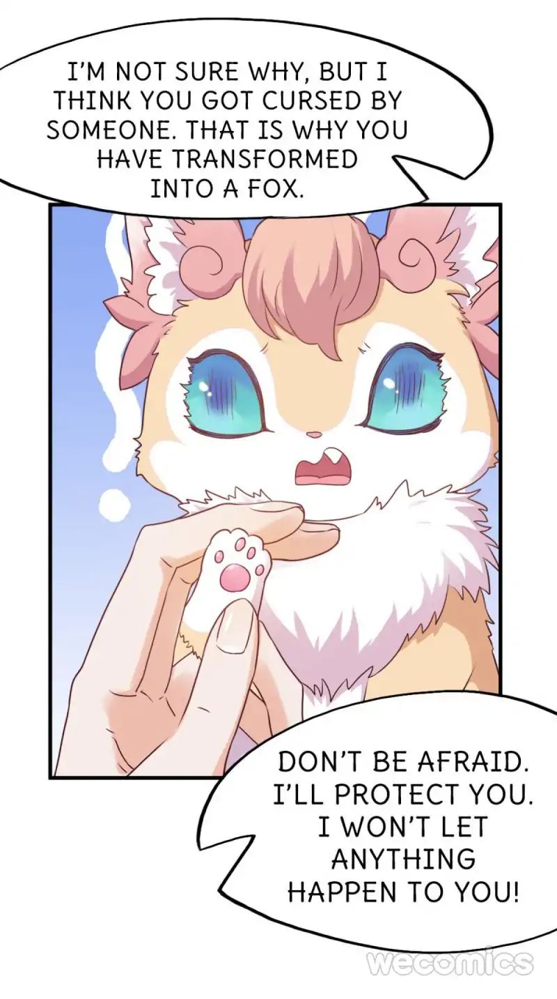 Page 13 of Chapter 17