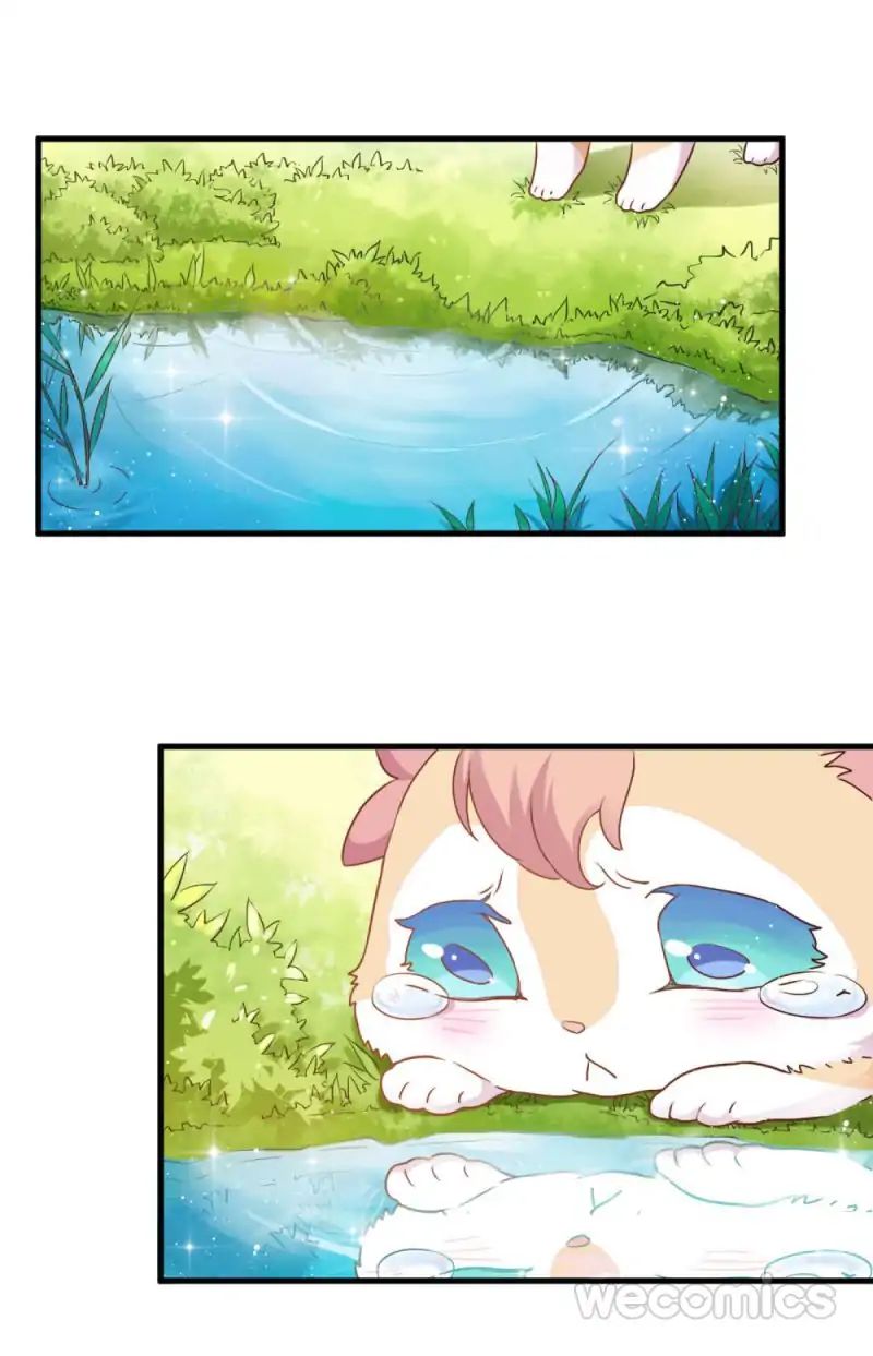 Page 19 of Chapter 17
