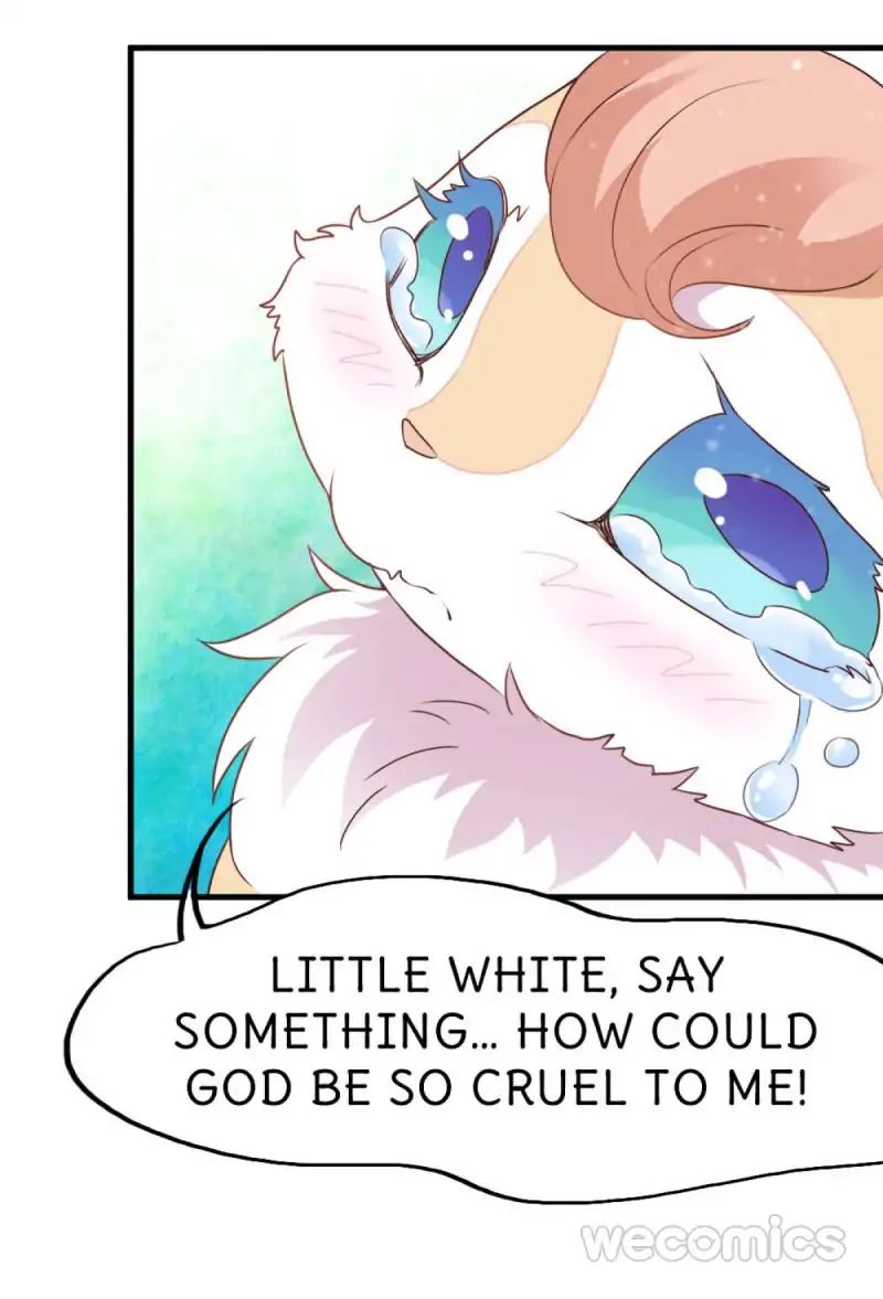 Page 27 of Chapter 17