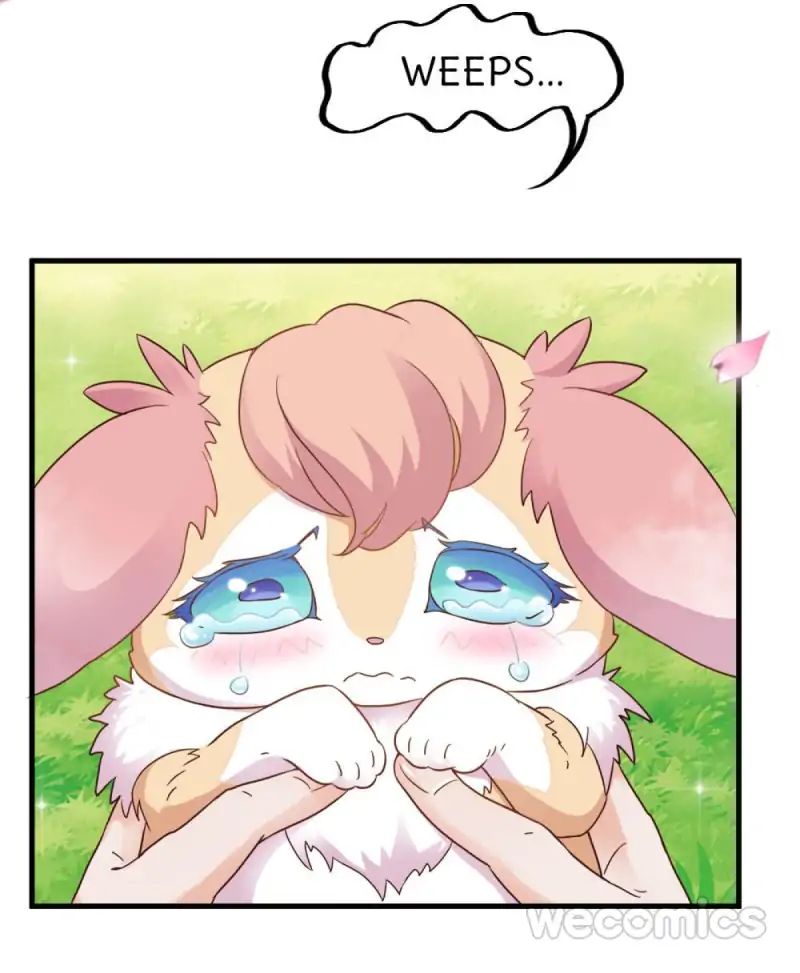 Page 30 of Chapter 17