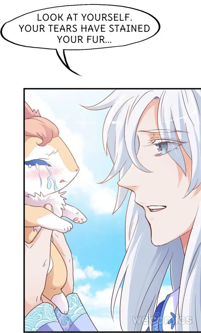 Page 31 of Chapter 17